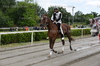 Immagine <b>REG_9220</b>